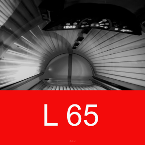 L 65